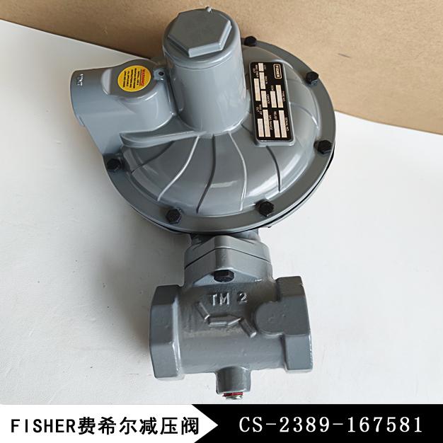 CS-2389-167581費(fèi)希爾減壓閥CS400IN-8E/C8美國(guó)進(jìn)口品牌